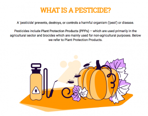 Illustrations to present research